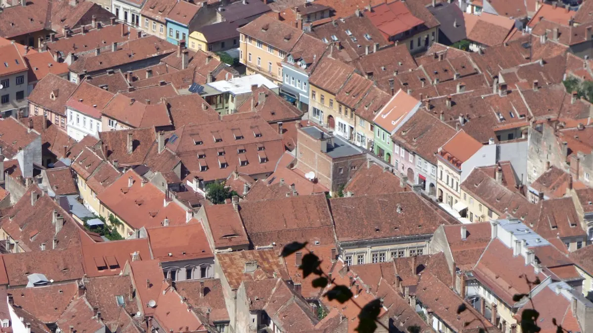 Anunțuri Brașov - Ghidul Complet Pentru Vânzători În Inima României