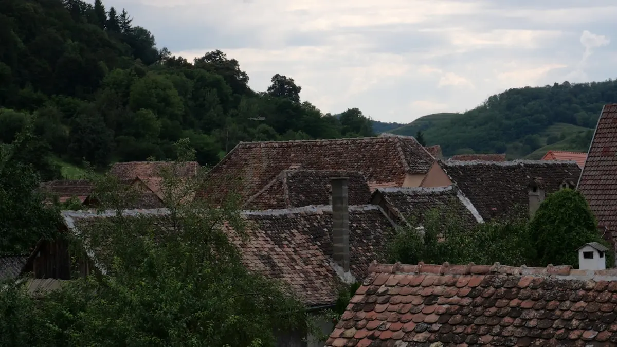 Anunțuri Călărași - Ghidul Complet Pentru Vânzători De Pe Malul Dunării