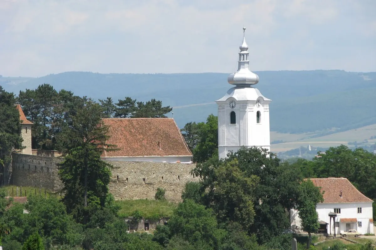 Anunțuri Gratuite Sfântu Gheorghe - Capitala Covasnei