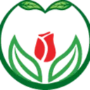 FLORARIE FLORISIS S.R.L.